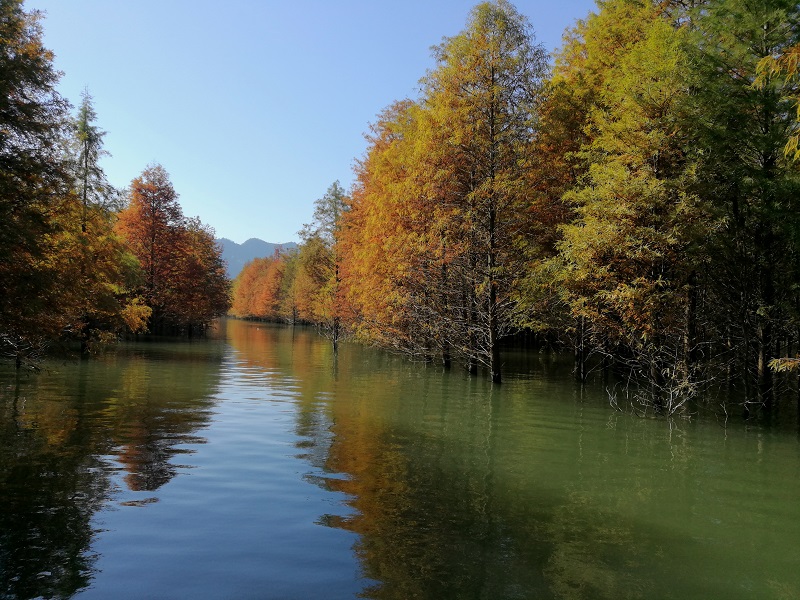 请输入图片描述