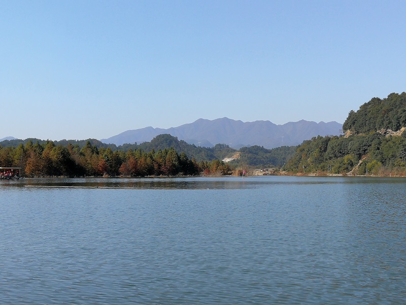 请输入图片描述